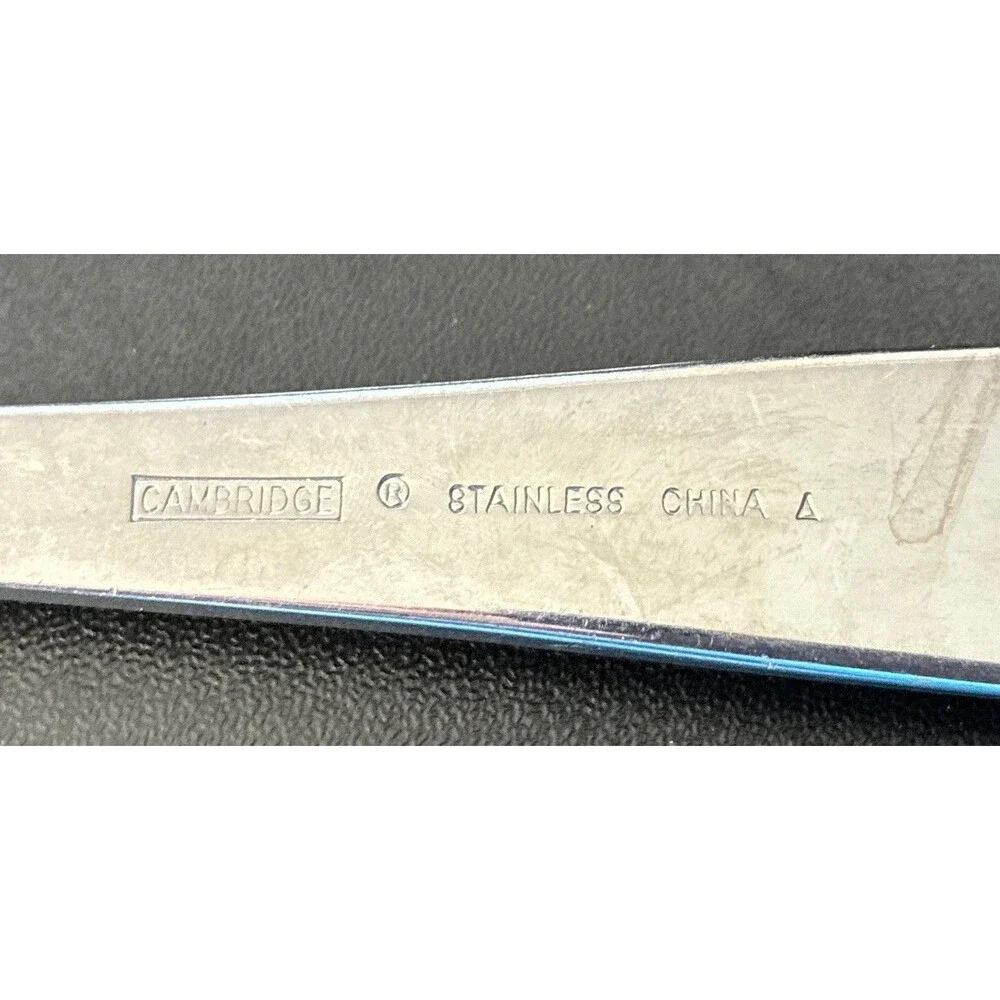 Cambridge Stainless Steel Slotted Serving Spoon, Silver Glossy Solid Handle